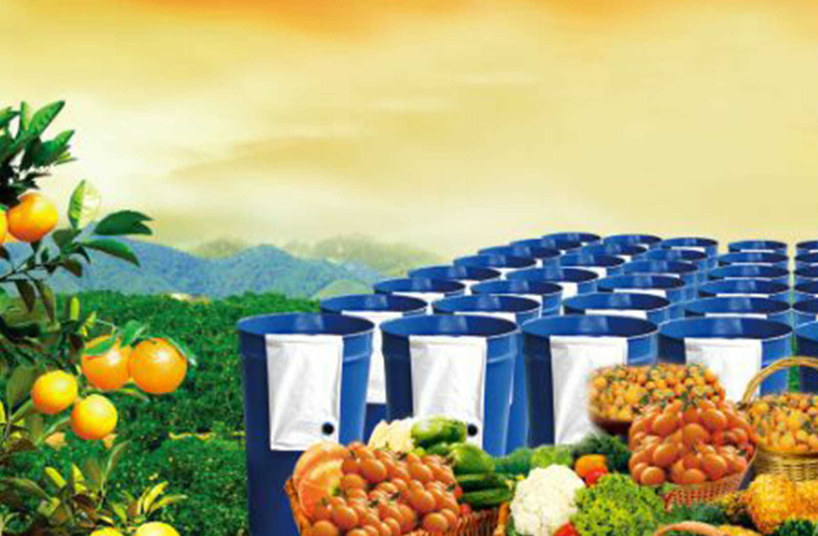 Aseptic bags for fruit and vegetable processing industry