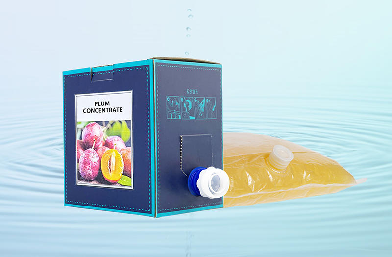 Transparency and Innovation: The Rise of Transparent Bag-in-Box Packaging